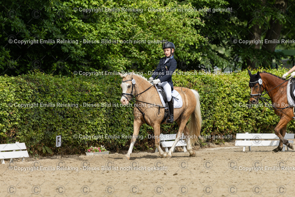 CL5A1368 | Emilia Reinking Fotografie - Realisiert mit Pictrs.com