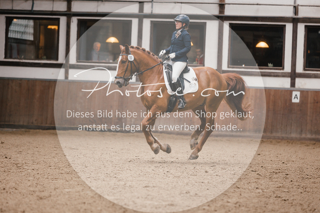 3I6A7275 | Stimmungsvolle Portraits und Reitsportfotografie im Ruhrgebiet und im Münsterland.

Pferdefotografie, Hundefotografie, Tierfotografie, Reportagen, Portraits von Tier und Mensch, Turnierfotografie in Bochum, Recklinghausen, Marl, Haltern am See, Dülmen.. - Realisiert mit Pictrs.com
