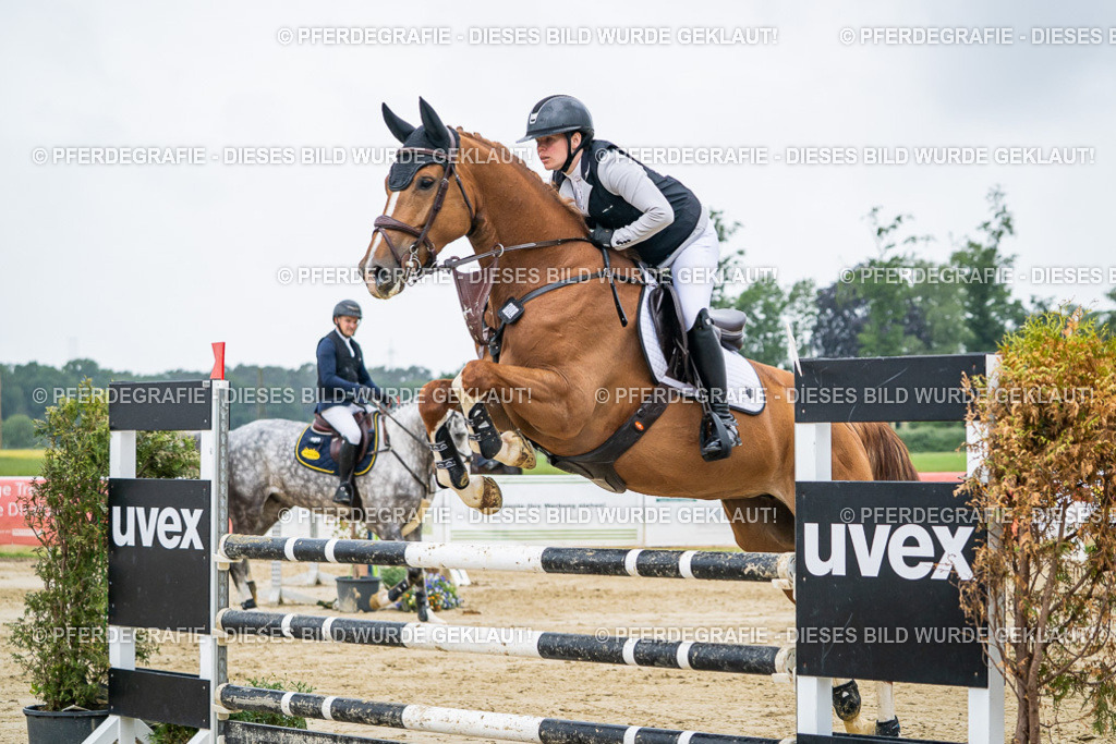 DSC02058 | Pferdegrafie