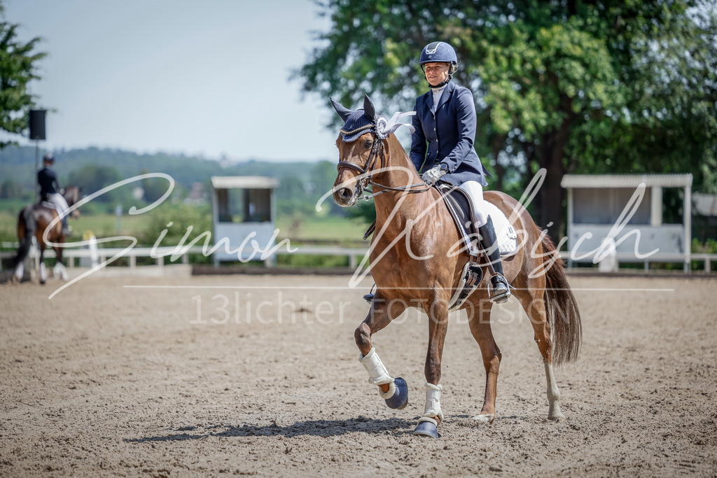 20250621-_3LI8948 | Tierfotografie Pferde, Hunde, Katzen, Haustiere.
Turnierfotografie Reitturniere, Reiten, Springreiten, Dressur in Hanau, dem Main-Kinzig-Kreis und dem Rhein-Main- Gebiet um Frankfurt