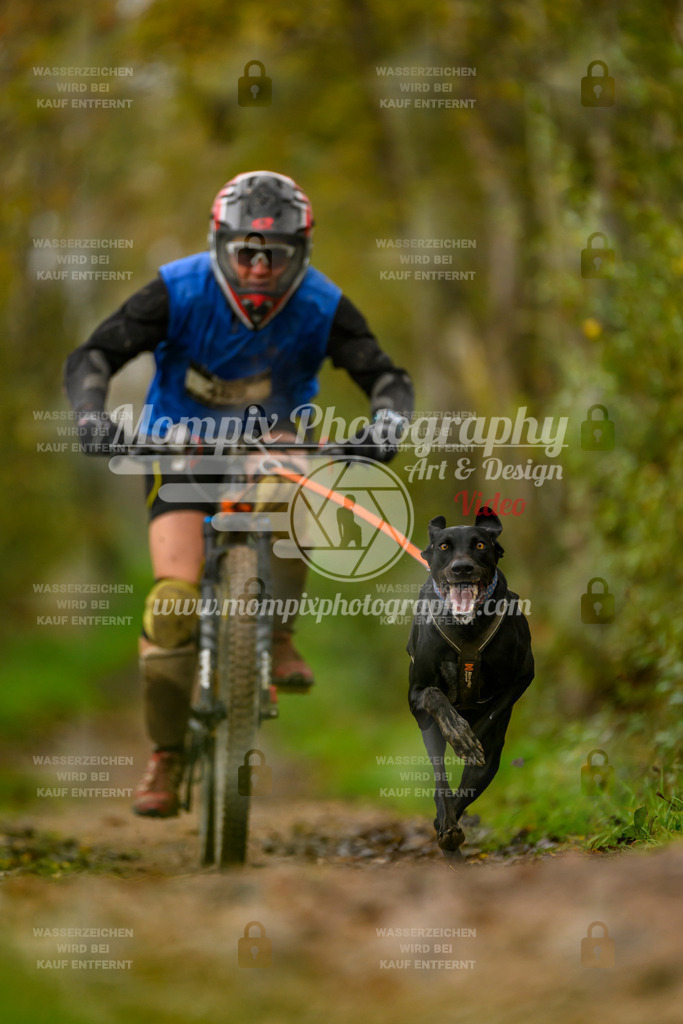 MompixPhotography_20TSB_E6_Bike-62 | mompixphotography