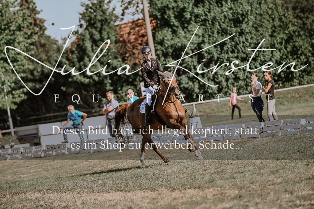 DSC_9354 | Pferde- und Turnierfotografie in Westsachsen. Pferdeportraits, Auftragszeichnungen und intuitive Kunst.
