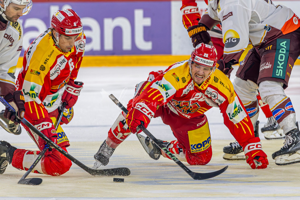 EHC Biel-Bienne - Genf-Servette HC - 28. September 2024 | EHC Biel-Bienne - Genf-Servette HCTissot Arena, Biel-BienneBild: Waltraud Blaurock | Blaurock Pix