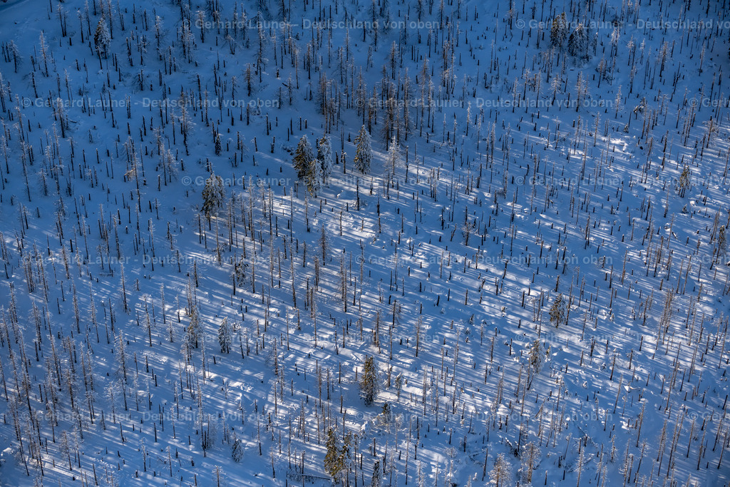 4044918 | SCHIERKE 14.02.2021 Winterlich schneebedeckte Baumspitzen in einem Waldgebiet in Schierke im Nationalpark Harz im Bundesland Sachsen-Anhalt, Deutschland. // Wintry snowy treetops in a wooded area in Schierke in the Harz in the state Saxony-Anhalt, Germany. Foto: Gerhard Launer