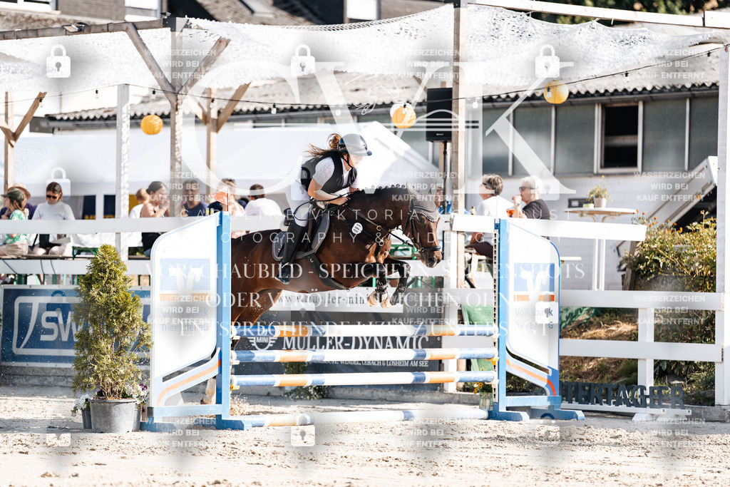 CK909302 | Turnierfotografie Pferdefotografie Trier Rheinland-Pfalz Pferdesport Reitsport Tierfotografie Sportfotografie Pferdevideo Pferdevideografie Equestrianvideography equestrianphotography  - Realisiert mit Pictrs.com