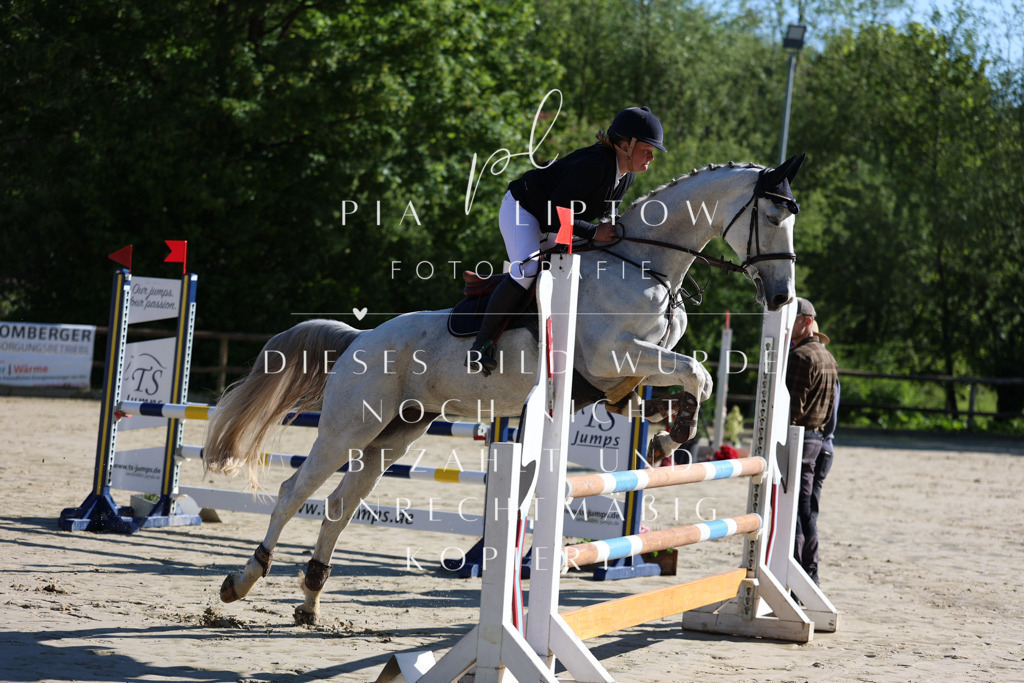 IMGS6002 | pl-fotografie