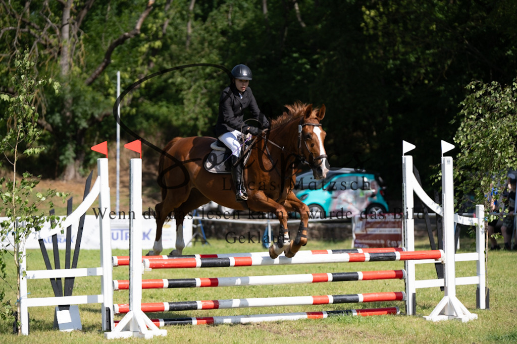 A7V05482 | Pferdefotograf