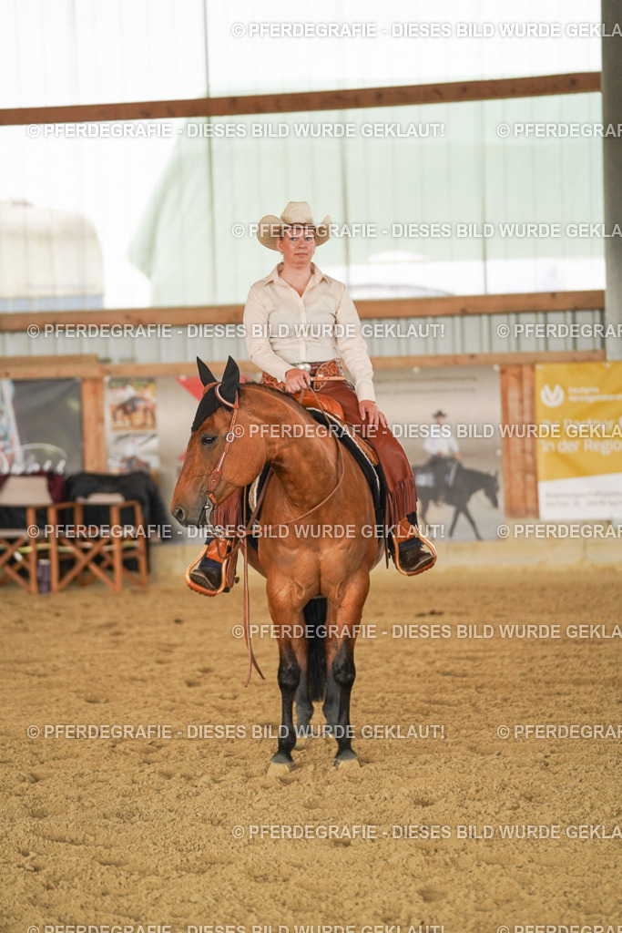 DSC03275 | Pferdegrafie