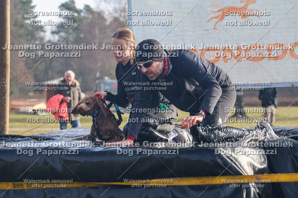 Dog Paparazzi - Strongdog North Mrz26-67 | Dog Paparazzi Jeanette Grottendiek Fotografie & Videografie - Realisiert mit Pictrs.com