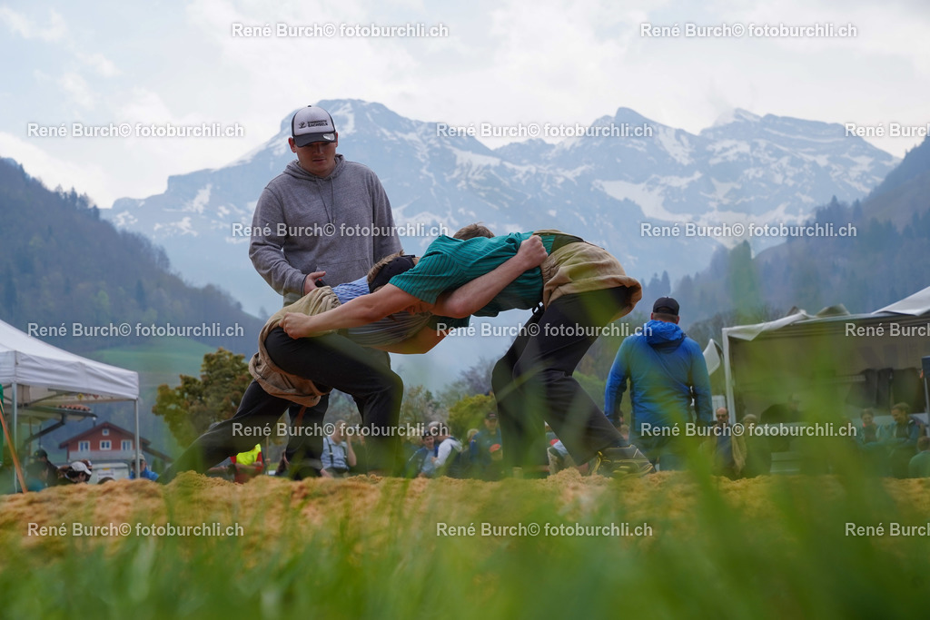 20220423-DSC03449 (2) | René Burch leidenschaftlicher Fotograf aus Kerns in Obwalden.  Hier finden sie Sport, Landschaft und Natur Fotografie.
 - Realisiert mit Pictrs.com