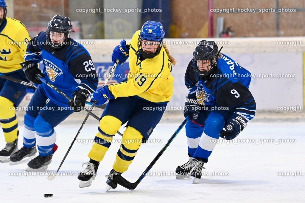 BST_5283 | hockey sports photos, Pressefotos, Sportfotos, hockey247, win 2day icehockeyleague, Handball Austria, Floorball Austria, ÖVV, Kärntner Eishockeyverband, KEHV, KFV, Kärntner Fussballverband, Österreichischer Volleyballverband, Alps Hockey League, ÖFB, 