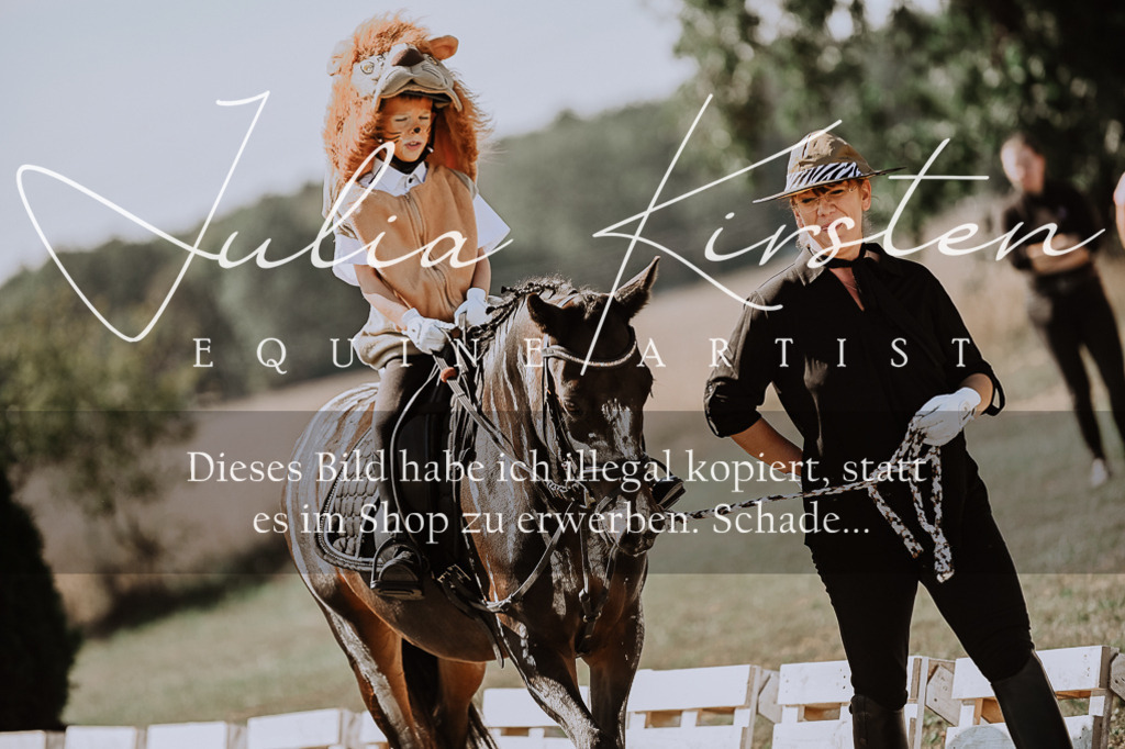 DSC_9161 | Pferde- und Turnierfotografie in Westsachsen. Pferdeportraits, Auftragszeichnungen und intuitive Kunst.