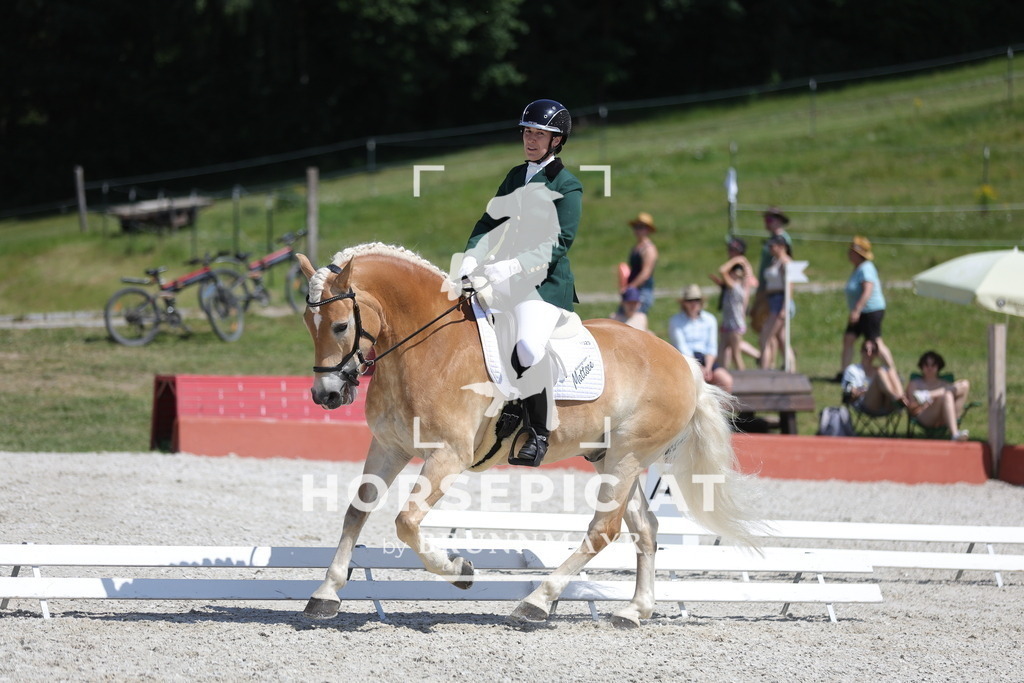 0P6A0534 | Willkommen bei Brunnmayr - Design & Fotografie – Ihrem Spezialisten für Reitturniere und Pferdeveranstaltungen in Oberösterreich, Salzburg und Bayern! Seit über 17 Jahren sind wir leidenschaftlich dabei.