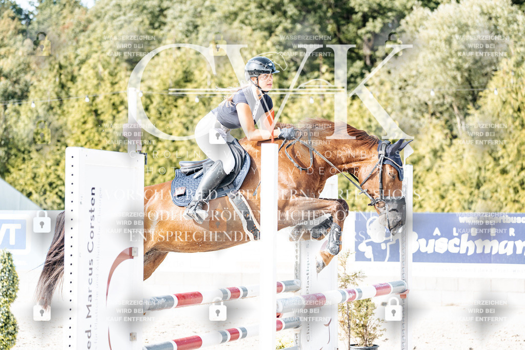 CK906080 | Turnierfotografie Pferdefotografie Trier Rheinland-Pfalz Pferdesport Reitsport Tierfotografie Sportfotografie Pferdevideo Pferdevideografie Equestrianvideography equestrianphotography  - Realisiert mit Pictrs.com