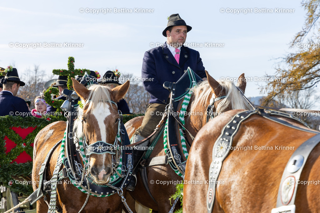 LBT24-1230 | foto-bettina-krinner - Realisiert mit Pictrs.com