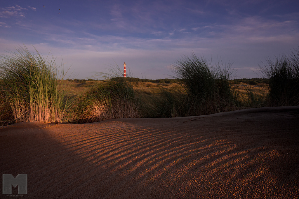 Der Leuchtturm von Amrum | Landschafts- und Tierfotografie zu allen Jahreszeiten. Und immer die Schönheit des Lichtes im Auge... - Realisiert mit Pictrs.com