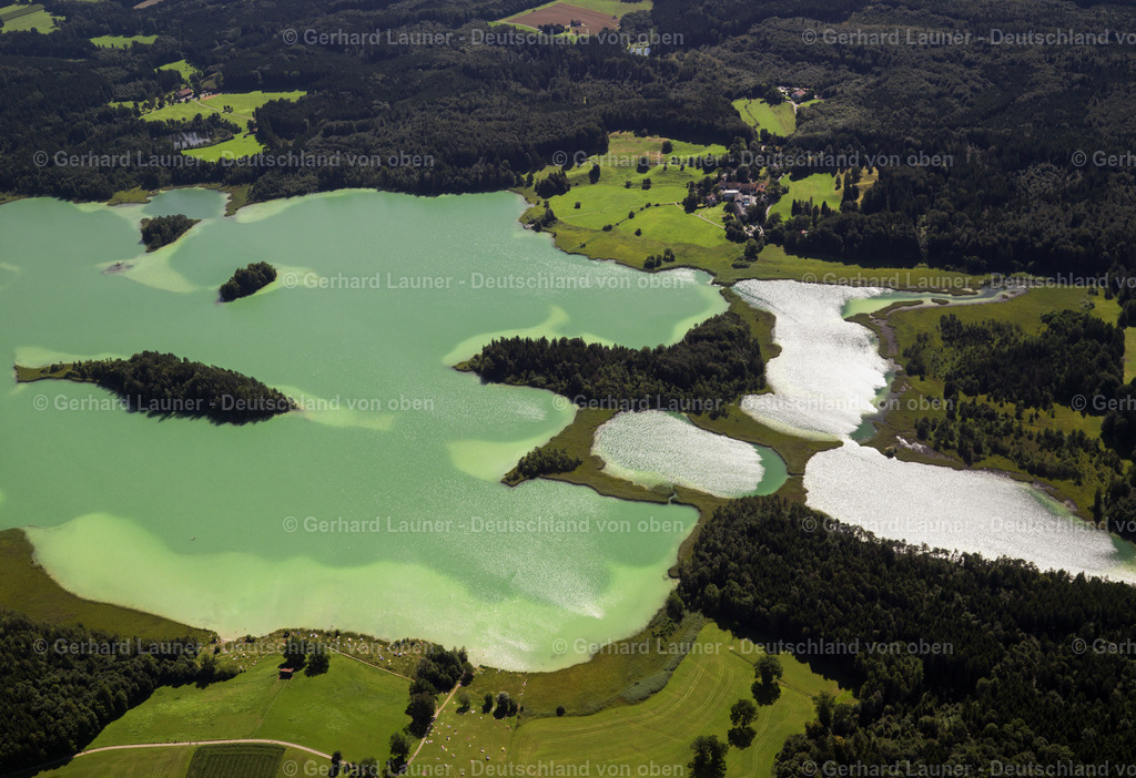 2889031 | Schwaigerinsel, Ostersee