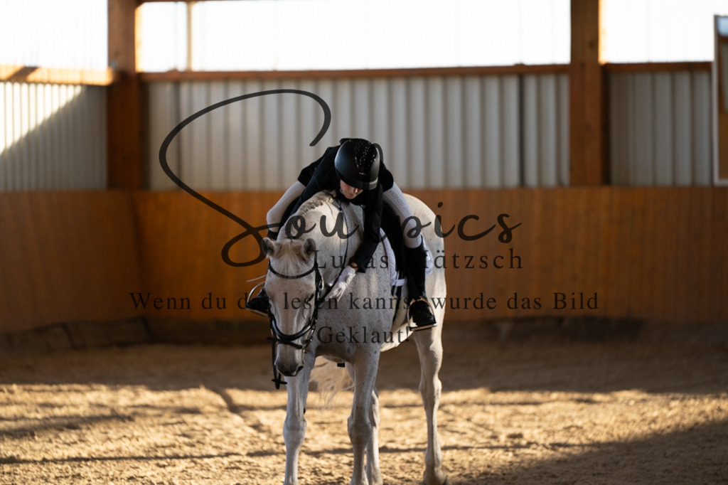 A7V01578 | Turnier/Reitfotograf