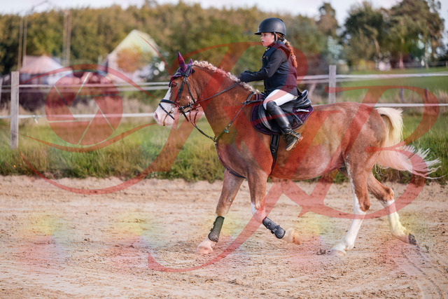 2026_10_03_Siefer-Hof_144505_Z81_19974074 | Professionelle Reitsport-, Turnier- und Eventfotografie von Robert Broda. Galerien mit ausgewählten und bearbeiteten Bildern direkt online ansehen und bestellen.