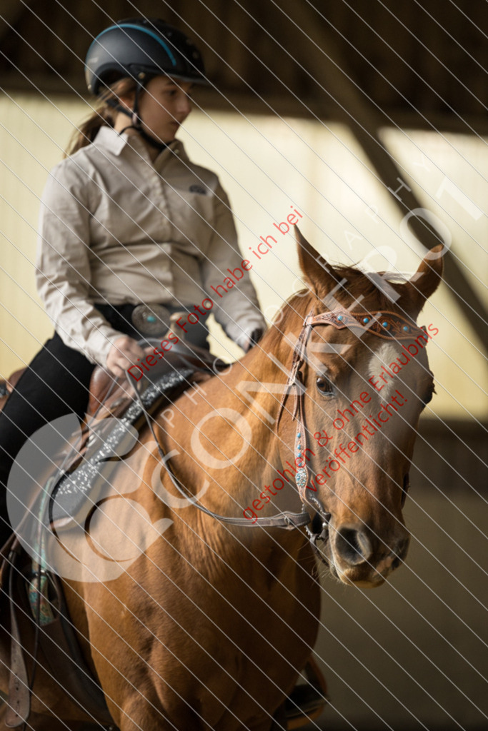 CON_2910 | Sport-, Event- und Tierfotos in Profiqualität. Einfach auswählen, bestellen und herunterladen. Dein Moment – perfekt festgehalten.