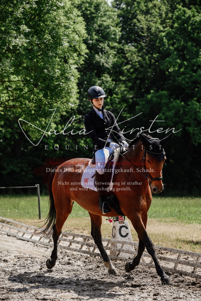 DSC_0970 | Pferde- und Turnierfotografie in Westsachsen. Pferdeportraits, Auftragszeichnungen und intuitive Kunst.