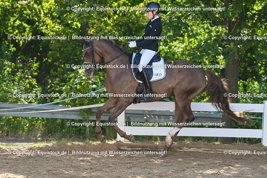 20230715_06_Dressurpferdeprfg. Kl.A_0439 | equistock
