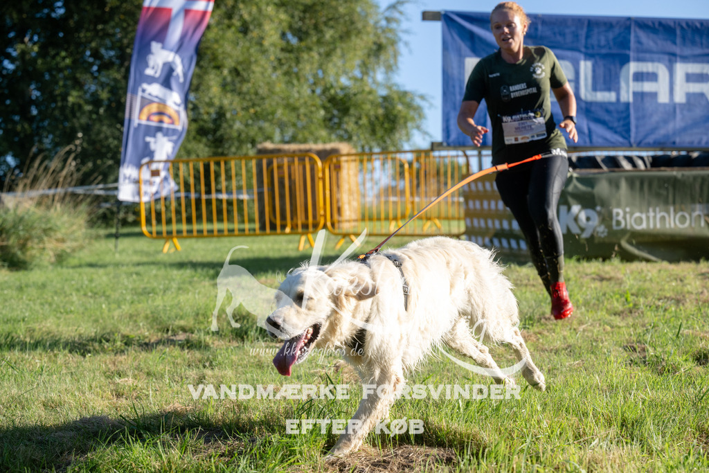 0815_ZZ92898 | kk-dogfotos