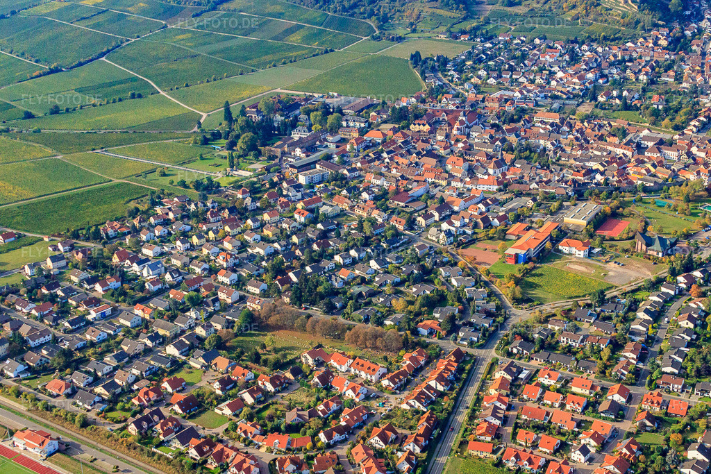 Luftbild: Statansicht mit IGS Deidesheim-Wachenheim in Wachenheim an der Weinstraße im Bundesland Rheinland-Pfalz in Deutschland. Foto: IMG_21969.jpg vom 15.10.2009 durch Werner Riehm/FLY-FOTO.de