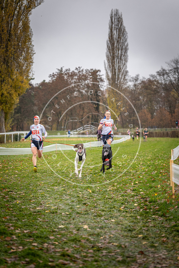 CaniXpix_DV3A9097 | Hundefotografie, Tierfotograf, Pfotenfotografie, Fotoshooting Hund, Hunde Portrait, Hundesport, Hundeportraits, Heideshooting, Hunde, Sportfotograf, Hundefotograf, Turnierhundsport, THS,  - Realisiert mit Pictrs.com