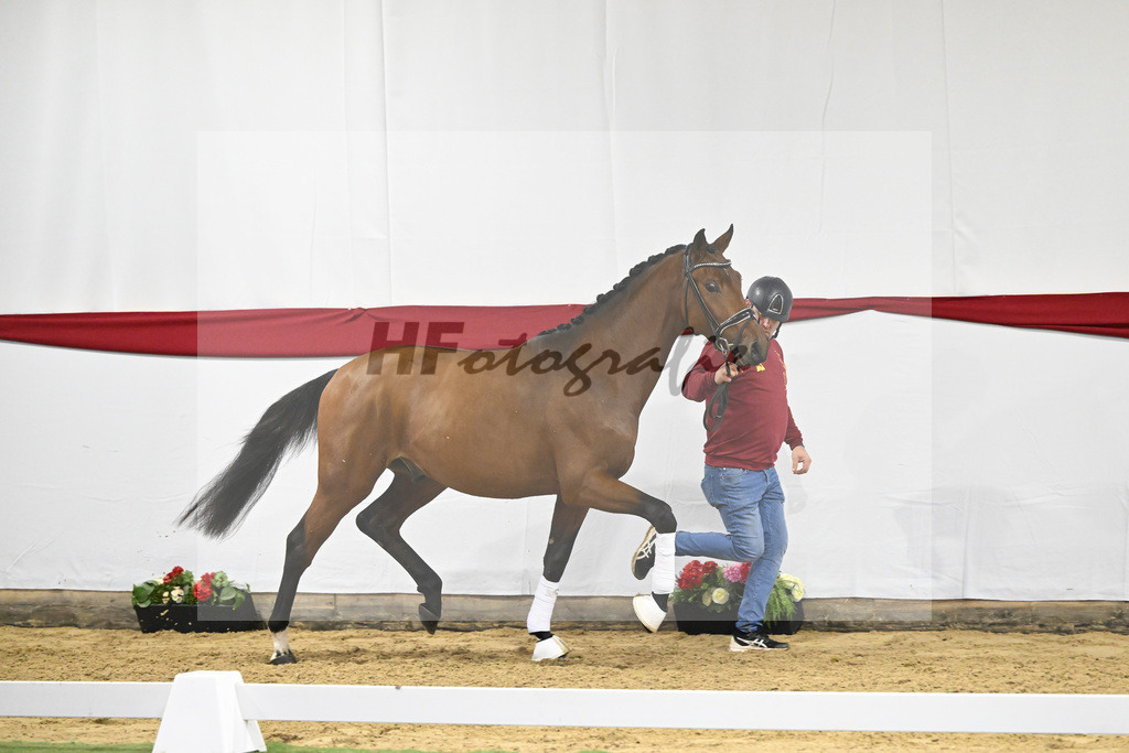 Kat-Nr. 15 v. Fuerst Samarant_Dalsem_63220655 | hf-fotografie - Realizzato con Pictrs.com