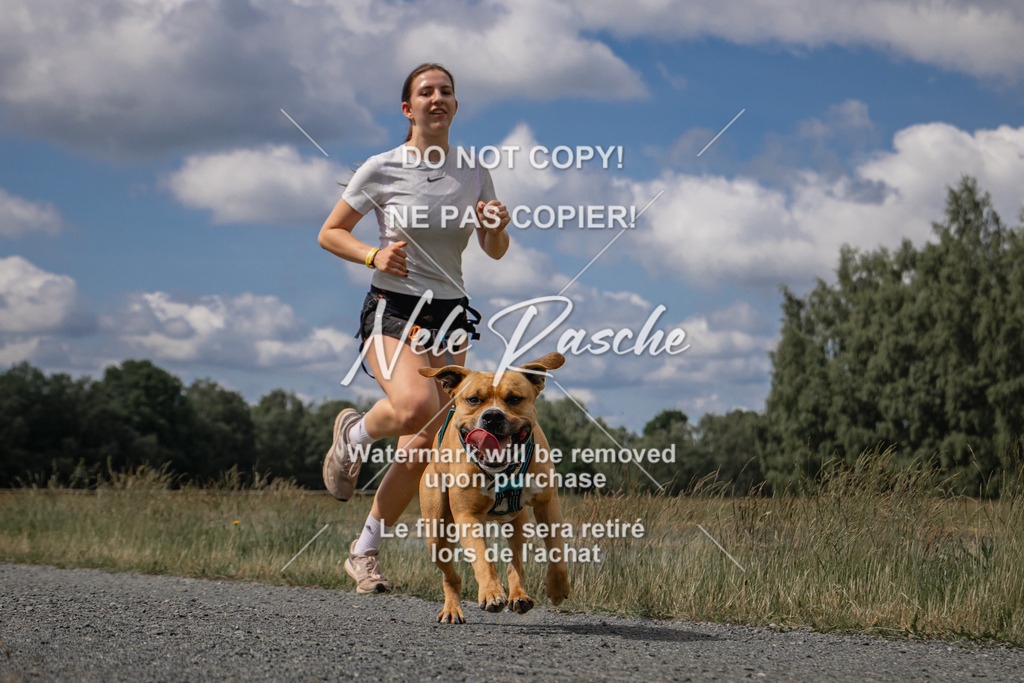 nelerasche_BuHu2026_SaCC1100-1200_16 | nelerasche
