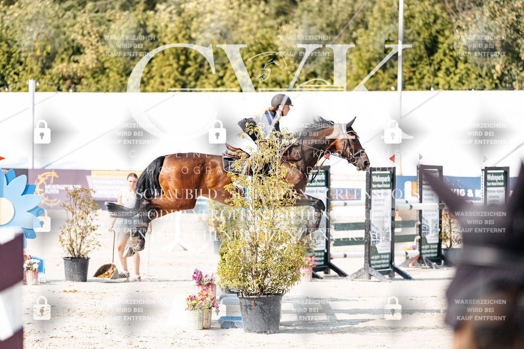 CK902220 | Turnierfotografie Pferdefotografie Trier Rheinland-Pfalz Pferdesport Reitsport Tierfotografie Sportfotografie Pferdevideo Pferdevideografie Equestrianvideography equestrianphotography  - Realisiert mit Pictrs.com