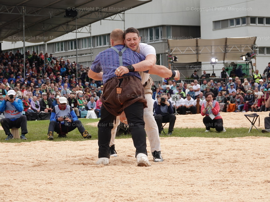 DSC08115 | Schwingen - Realisiert mit Pictrs.com