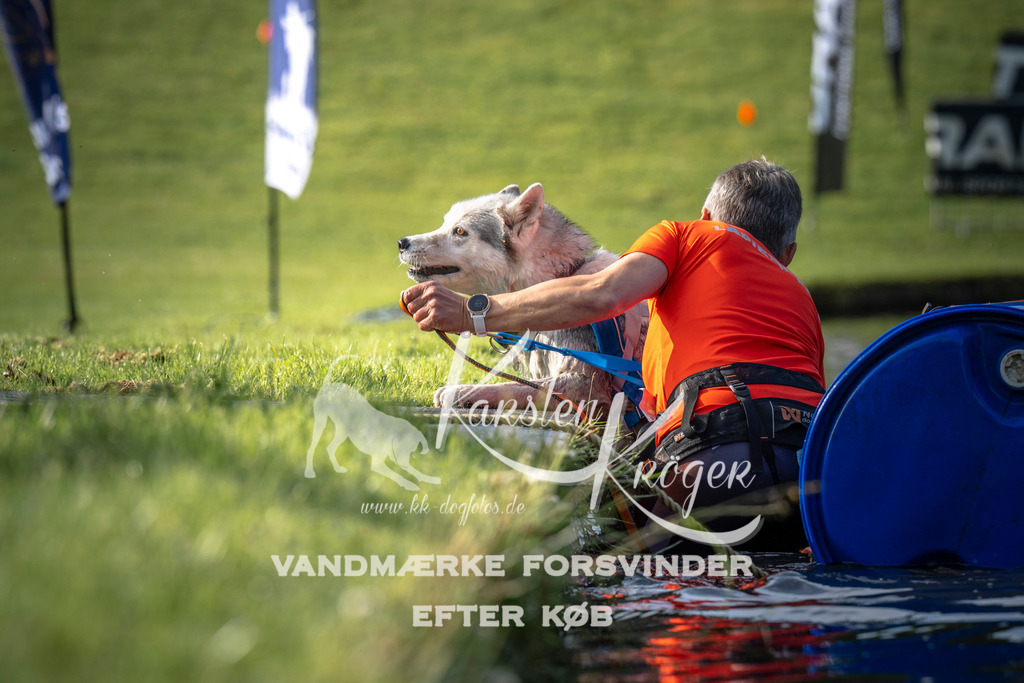 _ZZ940370710 | kk-dogfotos