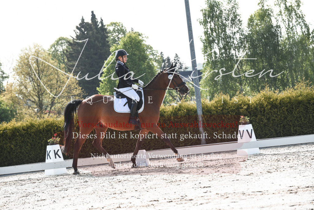 20230518_JK-Röhrsdorf-09-0879 | Pferde- und Turnierfotografie in Westsachsen. Pferdeportraits, Auftragszeichnungen und intuitive Kunst.