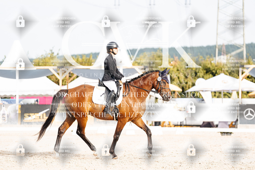 CK904046 | Turnierfotografie Pferdefotografie Trier Rheinland-Pfalz Pferdesport Reitsport Tierfotografie Sportfotografie Pferdevideo Pferdevideografie Equestrianvideography equestrianphotography  - Realisiert mit Pictrs.com