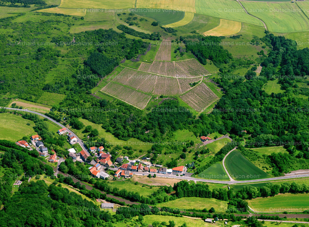 2821987 | Weinberg bei Steingrube