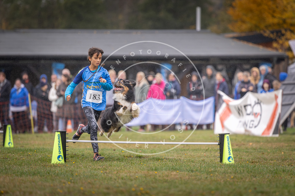 Pfotenfotografie_DV3A9676 | Hundefotografie, Tierfotograf, Pfotenfotografie, Fotoshooting Hund, Hunde Portrait, Hundesport, Hundeportraits, Heideshooting, Hunde, Sportfotograf, Hundefotograf, Turnierhundsport, THS,  - Realisiert mit Pictrs.com