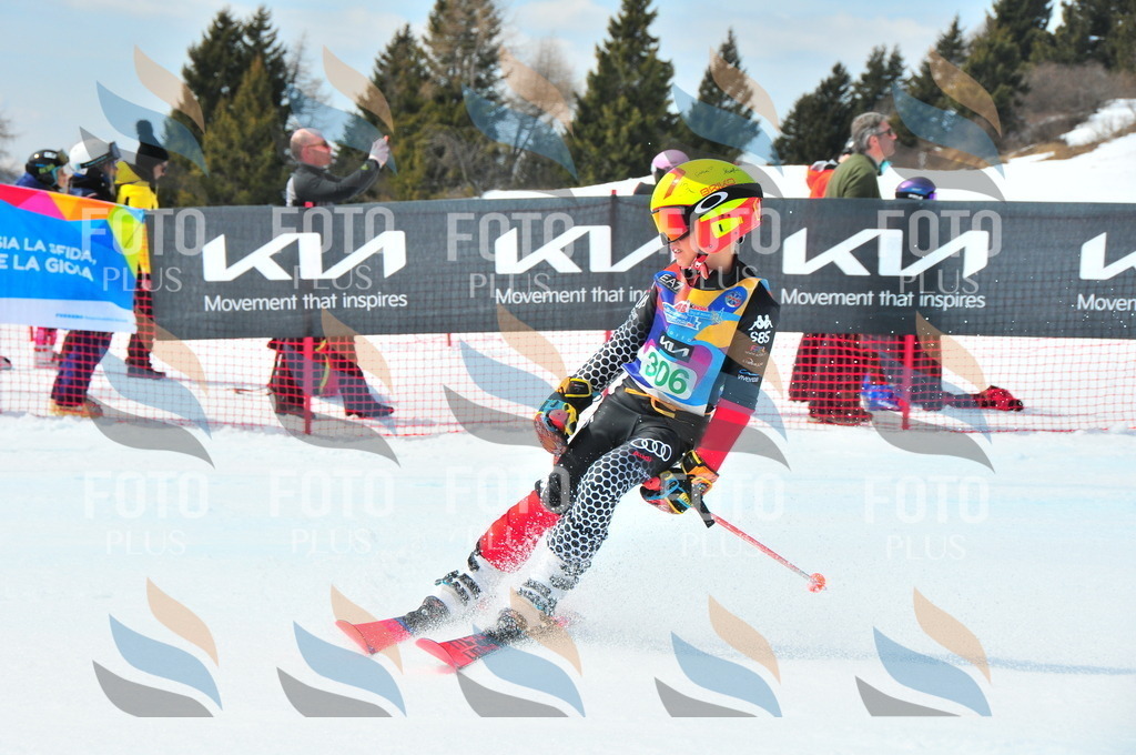 DSC_2837 | holidayphoto