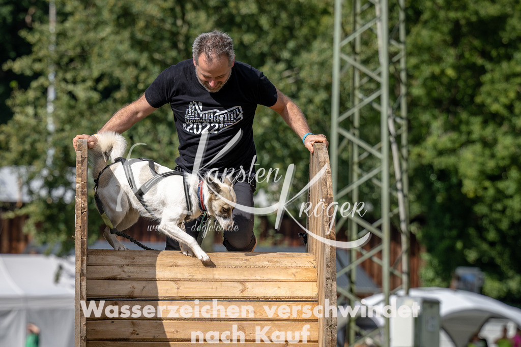 1136_ZZ90867 | kk-dogfotos
