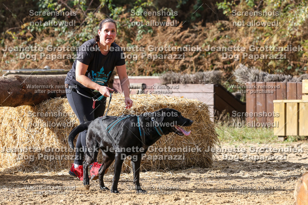 Dog Paparazzi - Strongdog 10-25-5072 | Dog Paparazzi Jeanette Grottendiek Fotografie & Videografie - Realisiert mit Pictrs.com