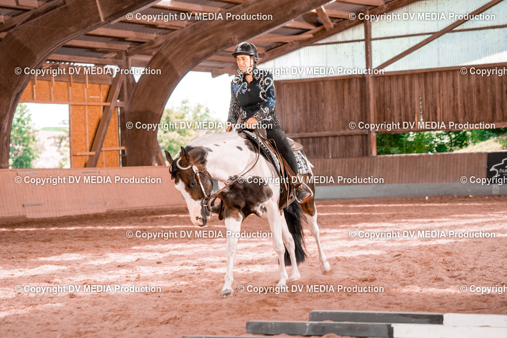 NE300521 | dv-media-shop - Realisiert mit Pictrs.com