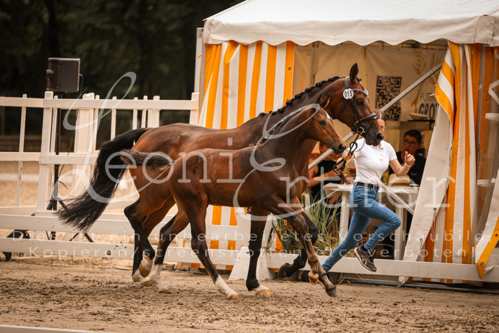 SaPA00215 | Leoni Ertmer Photography - Realisiert mit Pictrs.com