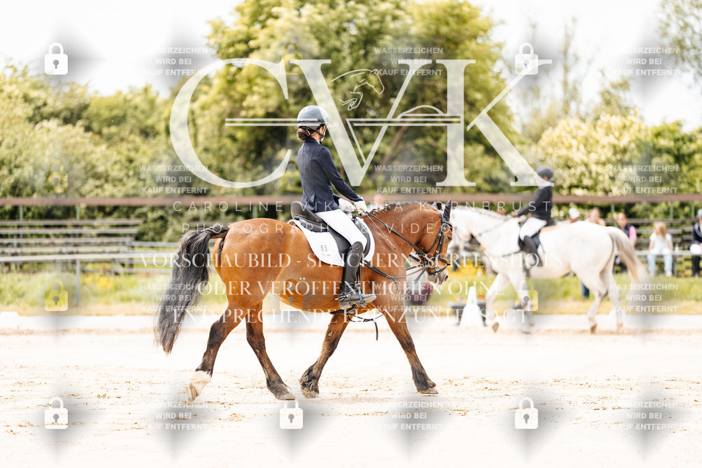 CK902683 | Turnierfotografie Pferdefotografie Trier Rheinland-Pfalz Pferdesport Reitsport Tierfotografie Sportfotografie Pferdevideo Pferdevideografie Equestrianvideography equestrianphotography  - Realisiert mit Pictrs.com