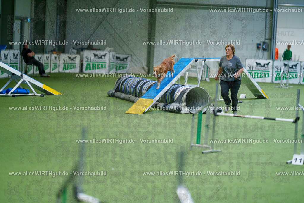 @allesWIRTHgut_Tierfotografie - www.allesWIRTHgut.de - 2604250824-7R506475 | Professionelle Tierfotografie in Mönchengladbach von Daniel Wirth (allesWIRTHgut). Liebevolle & natürliche Bilder von Hunden & Katzen für unvergessliche Erinnerungen.