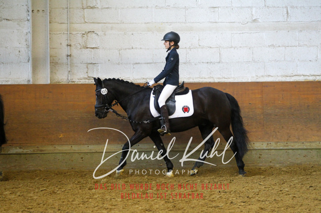 DKP43827 | Turniersportfotografie; Pferdefotografie; Dressurfotografie