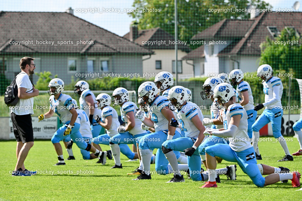 Carinthian Lions vs. Styrian Bears | Carinthian Lions vs. Styrian Bears, Carinthian Lions vs. Styrian Bears am 20.05.2024 in Klagenfurt (ASV Sportplatz), Austria, (Photo by Bernd Stefan)