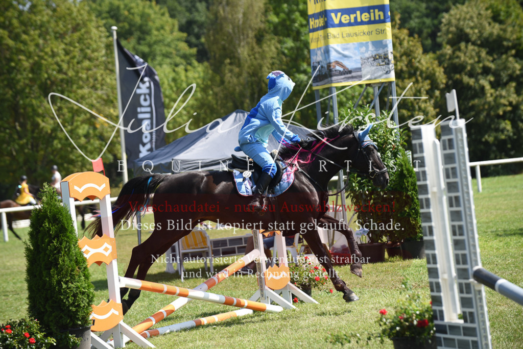 DSC_0221 | Pferde- und Turnierfotografie in Westsachsen. Pferdeportraits, Auftragszeichnungen und intuitive Kunst.