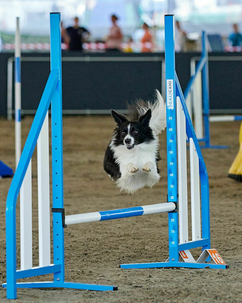 580B0095 | Peter Fridle Fotografie - Realisiert mit Pictrs.com