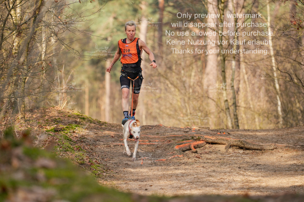 LangeCross_So-79 | stephaniefillaphotographie - Realisiert mit Pictrs.com